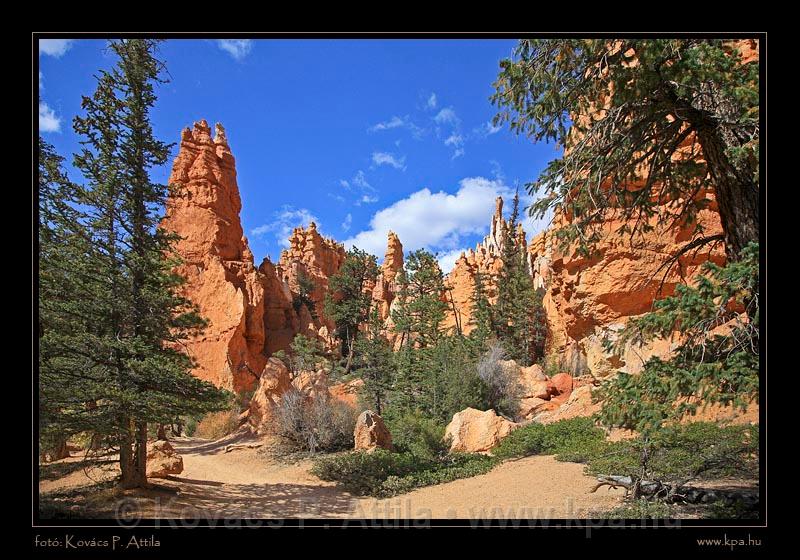 Bryce Canyon 25.jpg